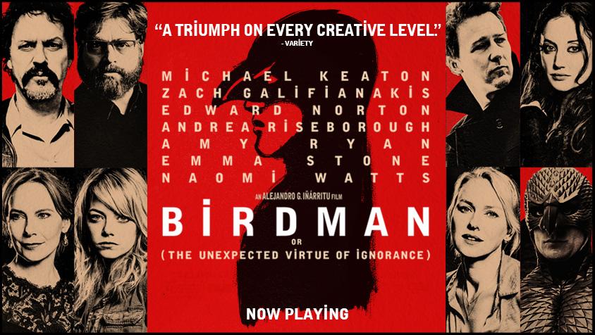 Soarin High: Birdman Review