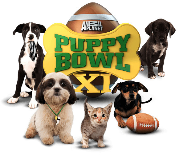 Pawsome! The Puppy Bowl Returns