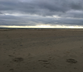 Marine Science Visits Sandy Hook