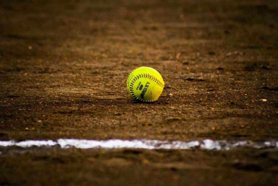 2019+Lady+Lions+Softball+Preview