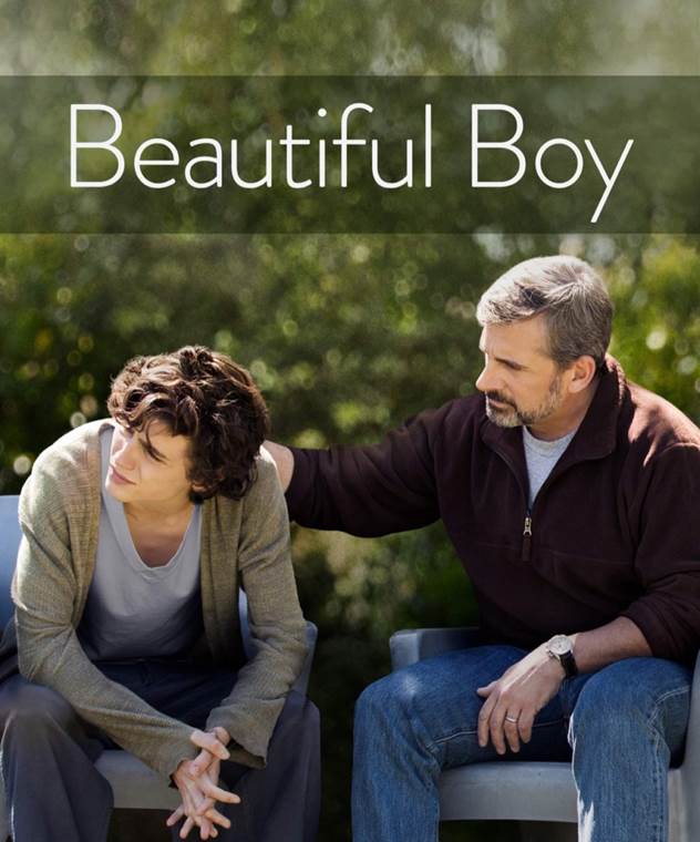 a beautiful boy movie review