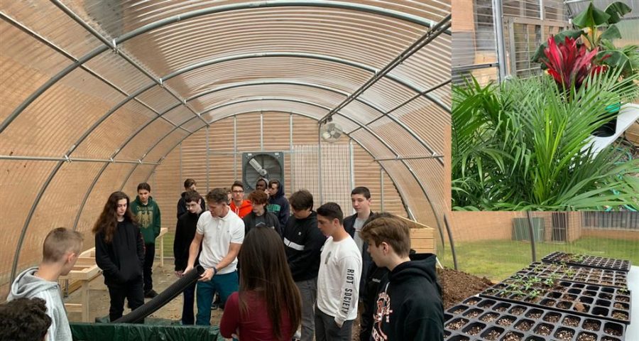Greenhouse Opening Marks the Beginning of a Sustainable Future