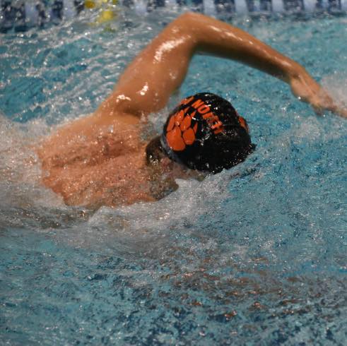 Middletown North Swimmers Hit the Pool
