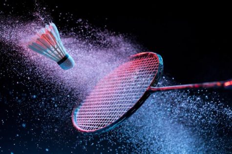 MHSN Introduces Badminton Club
