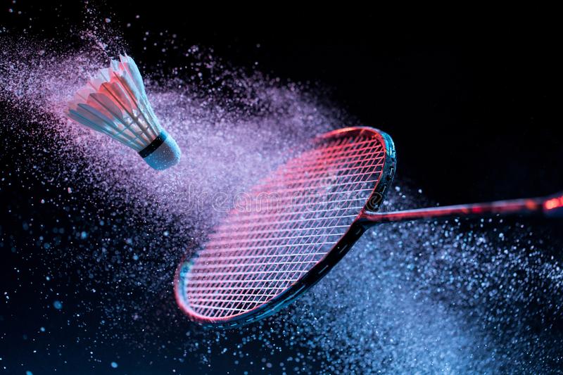 MHSN Introduces Badminton Club